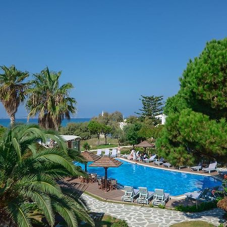 Alkyoni Beach Hotel Naxos City Eksteriør bilde