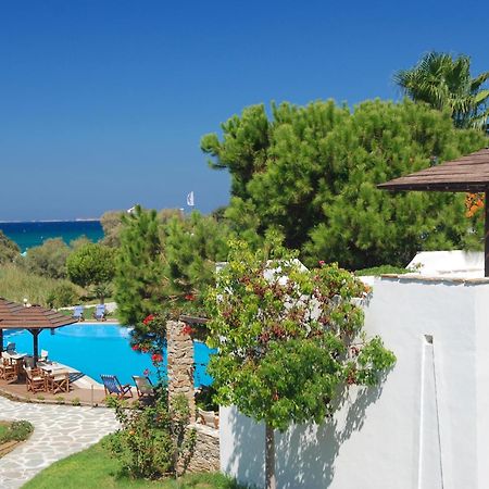 Alkyoni Beach Hotel Naxos City Eksteriør bilde