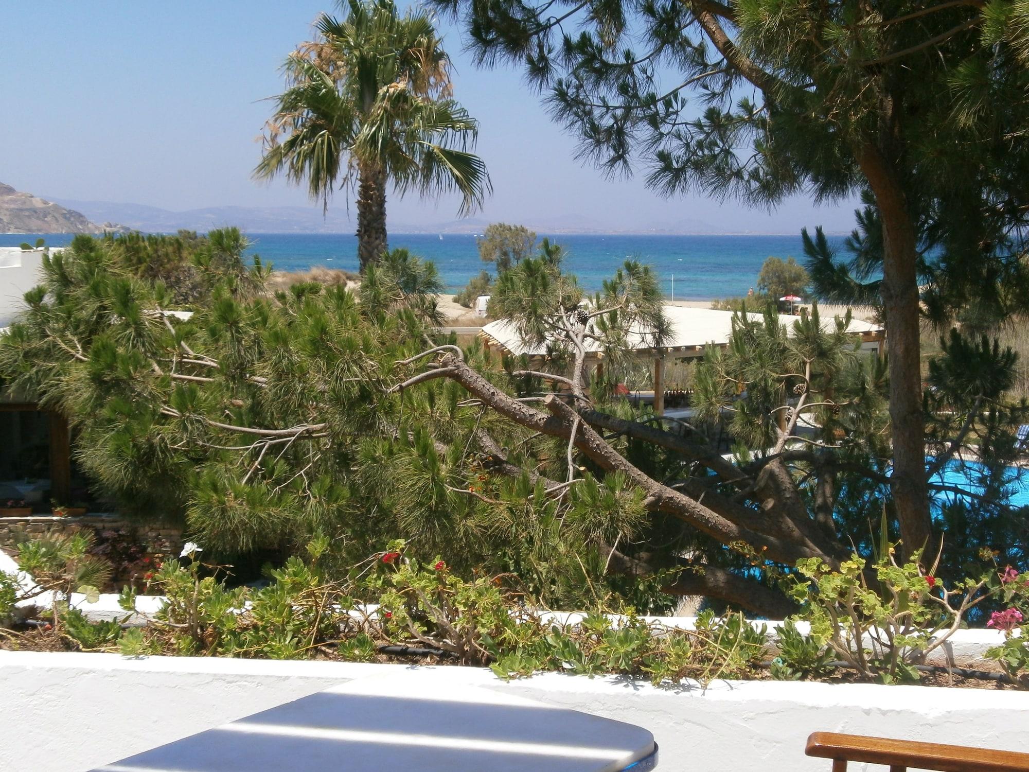 Alkyoni Beach Hotel Naxos City Eksteriør bilde