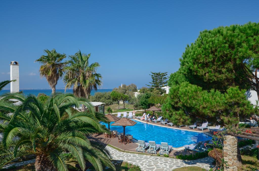 Alkyoni Beach Hotel Naxos City Eksteriør bilde